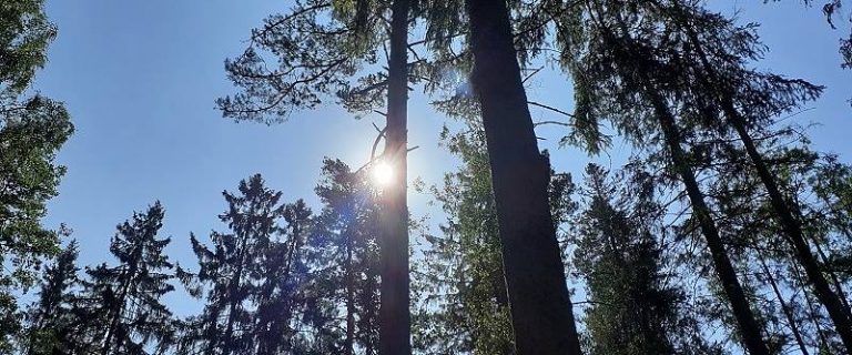 digital detox - a break from the pressure of social media