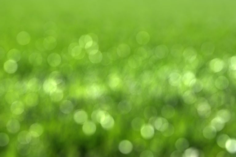 Environment and sustainability in digital marketing