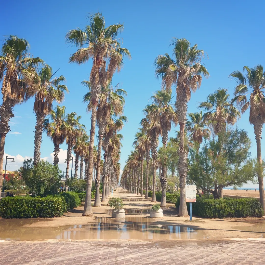 Valencia - en riktigt löpvänlig stad