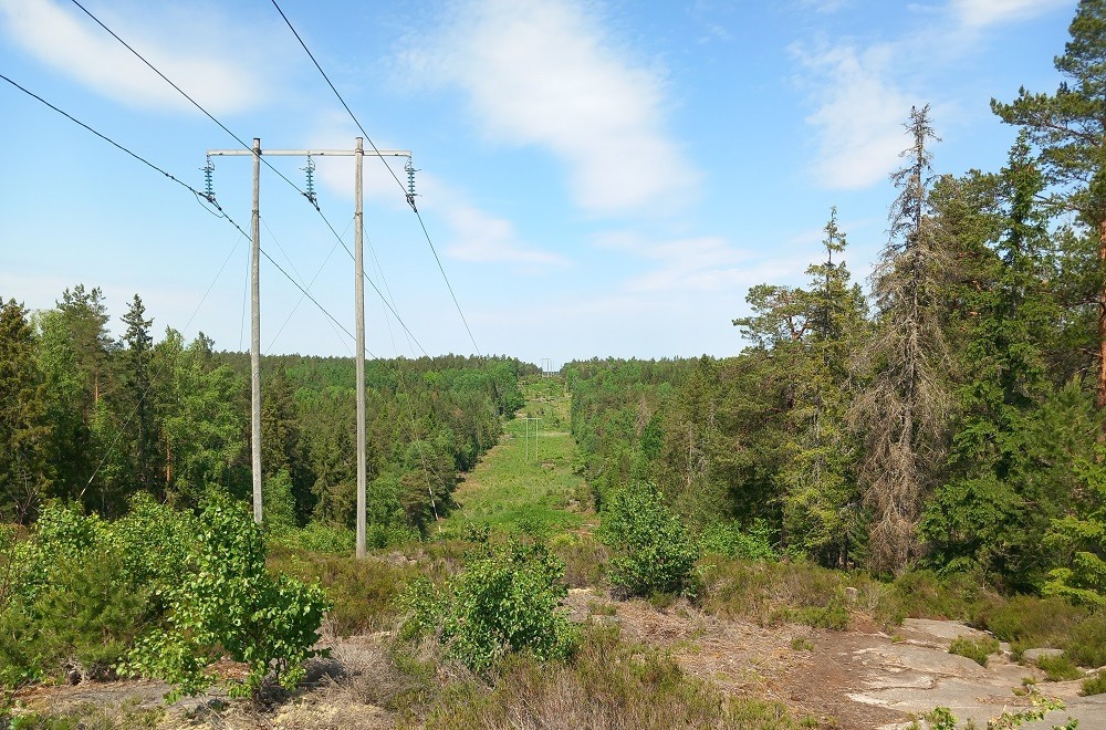 En av vyerna du får om du fortsätter norrut mot Nyfors