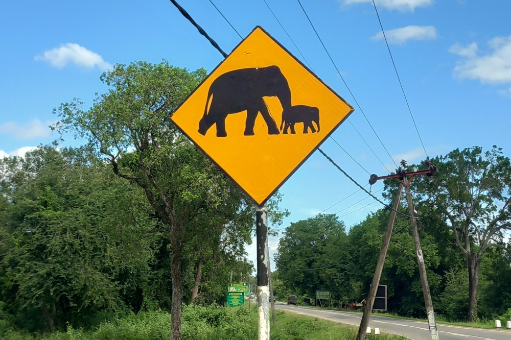 Warning for elephants on the Sri Lanka road